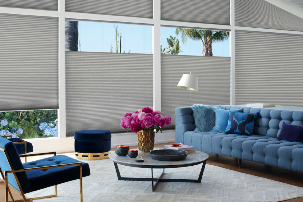 WHAT CAN YOU DO WITH MOTORIZED WINDOW SHADES?